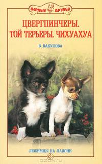 Цвергпинчеры. Той терьеры. Чихуахуа. Любимцы на ладони