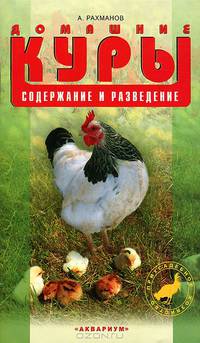 Домашние куры. Содержание и разведение