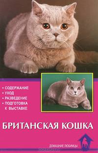 Британская кошка. Содержание. Уход. Разведение. Подготовка к выставке