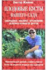 Плодовые кусты вашего сада