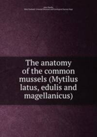 The anatomy of the common mussels (Mytilus latus, edulis and magellanicus)