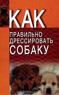 Как правильно дрессировать собаку
