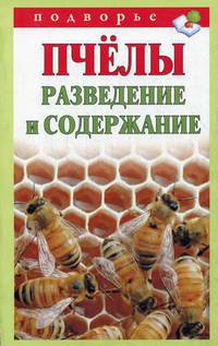 Пчелы. Разведение и содержание