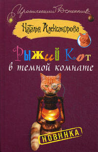 Рыжий кот в темной комнате.