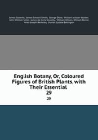 English Botany, Or, Coloured Figures of British Plants, with Their Essential .. 29