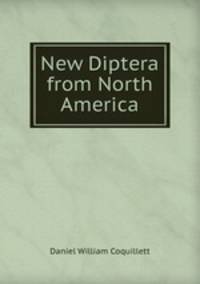 New Diptera from North America