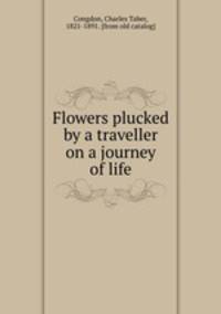 Flowers plucked by a traveller on a journey of life