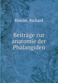 Beitrage zur anatomie der Phalangiden
