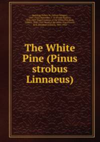 The White Pine (Pinus strobus Linnaeus)