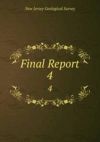 Final Report. 4
