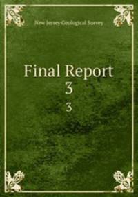 Final Report. 3
