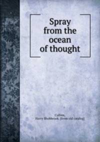 Spray from the ocean of thought