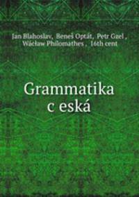 Grammatika c?eska