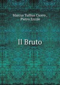 Il Bruto
