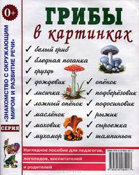 Грибы в картинках. Наглядное пособие для педагогов, логопедов, воспитателей и родителей