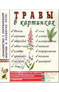 Травы в картинках. Наглядное пособие для педагогов, логопедов, воспитателей и родителей