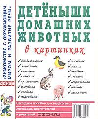 Детеныши домашних животных в картинках. Наглядное пособие для педагогов, логопедов, воспитателей и родителей