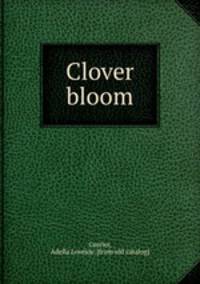 Clover bloom