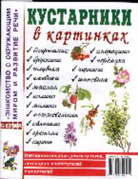 Кустарники в картинках. Наглядное пособие для педагогов, логопедов, воспитателей и родителей