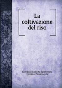 La coltivazione del riso