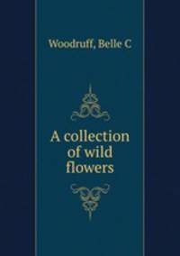 A collection of wild flowers