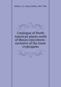 Catalogue of North American plants north of Mexico microform : exclusive of the lower cryptogams