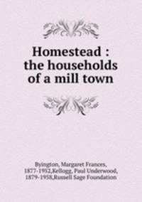 Homestead : the households of a mill town