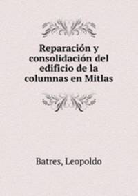 Reparacion y consolidacion del edificio de la columnas en Mitlas