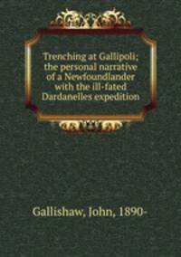 Trenching at Gallipoli; the personal narrative of a Newfoundlander with the ill-fated Dardanelles expedition