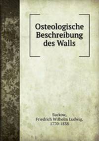 Osteologische Beschreibung des Walls