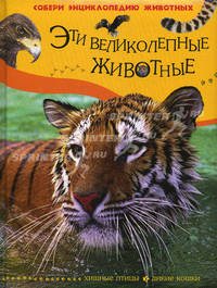 Эти великолепные животные (Хищные птицы, дикие кошки)