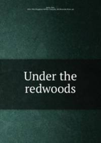 Under the redwoods