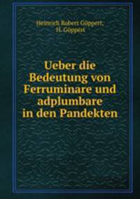 Ueber die Bedeutung von Ferruminare und adplumbare in den Pandekten