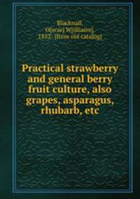 Practical strawberry and general berry fruit culture, also grapes, asparagus, rhubarb, etc.