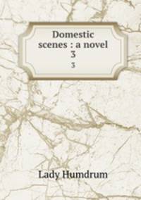 Domestic scenes : a novel. 3