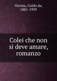 Colei che non si deve amare, romanzo