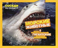 Морские животные. Внутри 5 объемных конструкций