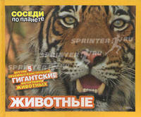 Животные. Внутри 5 объемных конструкций