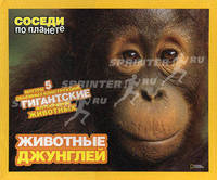 Животные джунглей. Внутри 5 объемных конструкций