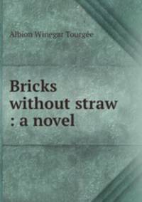 Bricks without straw : a novel