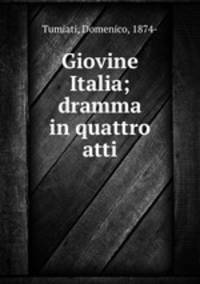 Giovine Italia; dramma in quattro atti