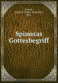 Spinozas Gottesbegriff