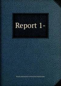 Report 1-