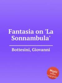 Fantasia on `La Sonnambula`