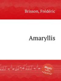 Amaryllis