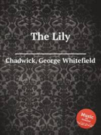 The Lily