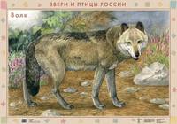 Наглядное пособие. Дошкольное образование. Звери и птицы России. Волк / Лиса