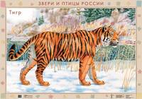 Наглядное пособие. Дошкольное образование. Звери и птицы России. Тигр/Рысь