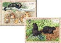 Звери и птицы России. Суслики. Хорек, сурки. Плакат