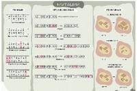 Мутации. Плакат